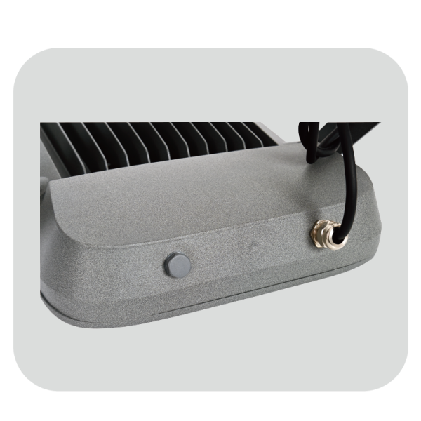 Downlight Concrete Ceiling