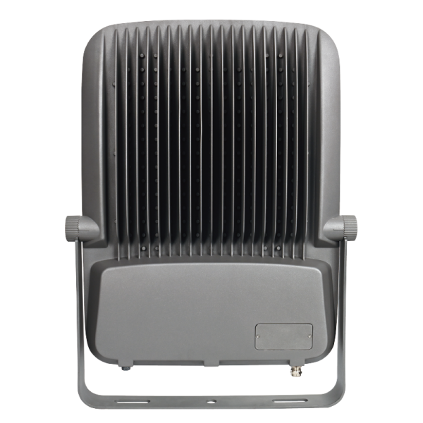 Downlight Concrete Ceiling