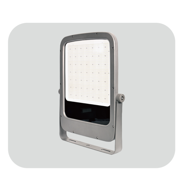 Downlight Concrete Ceiling